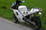 Derbi GPR 50 2