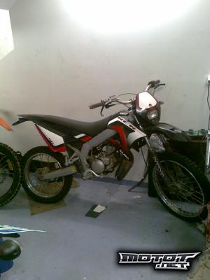 Gilera RCR 50