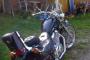 Suzuki Intruder 600 3